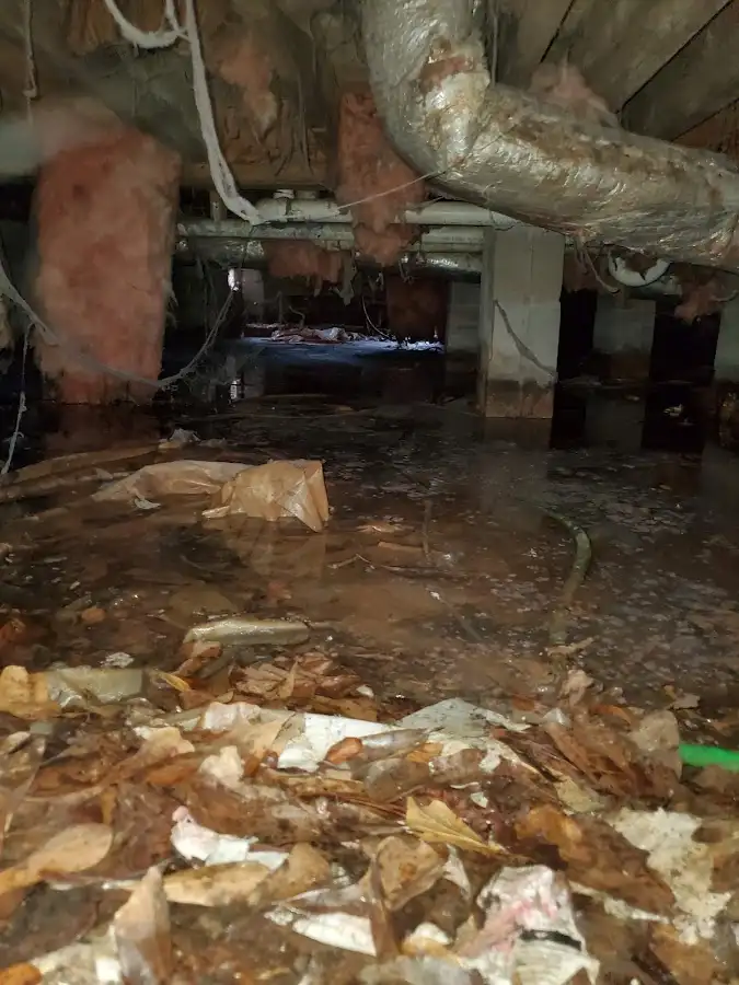 Crawl space flood assessment for Leak Detection & Repair in Southside