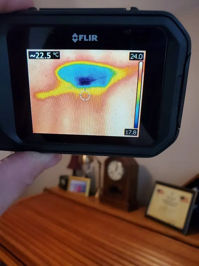 Thermal imaging inspection for water damage in Southside